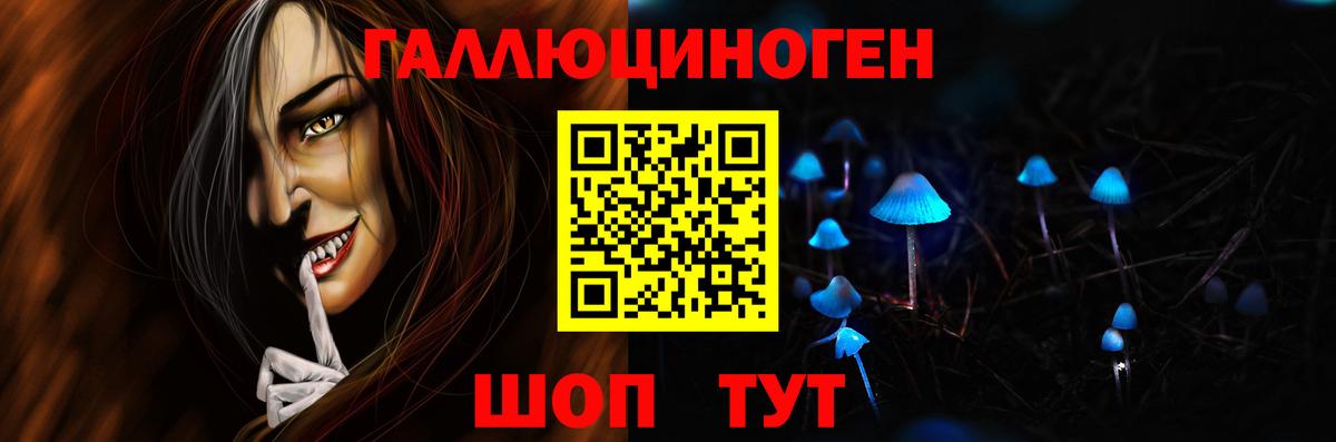 Кирово-Чепецк  Псилоцибиновые грибы Psilocybe  Вход с VPN 